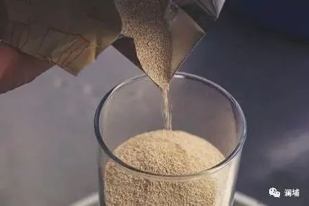 同学,酵母专题课报名进行中 同学,酵母专题课报名进行中