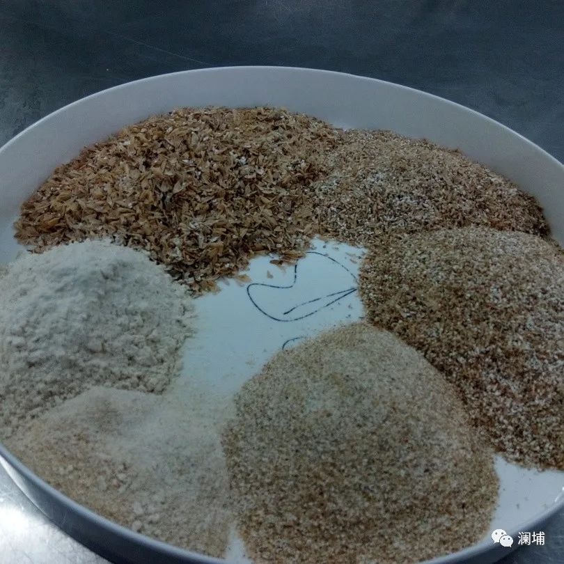 知识|麦芽的溶解状态与粉碎度对生产会有什么样的结果? 知识|麦芽的溶解状态与粉碎度对生产会有什么样的结果?