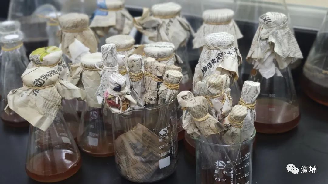 浅谈:精酿的成本 浅谈:精酿的成本