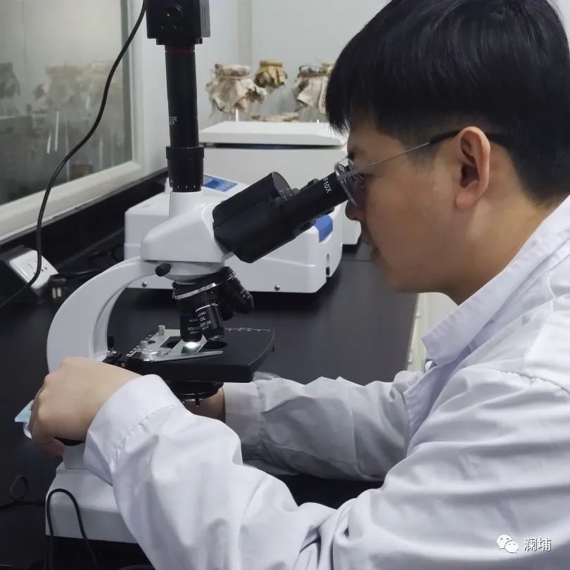 技术进阶||4月啤酒酿造技术提升课 技术进阶||4月啤酒酿造技术提升课