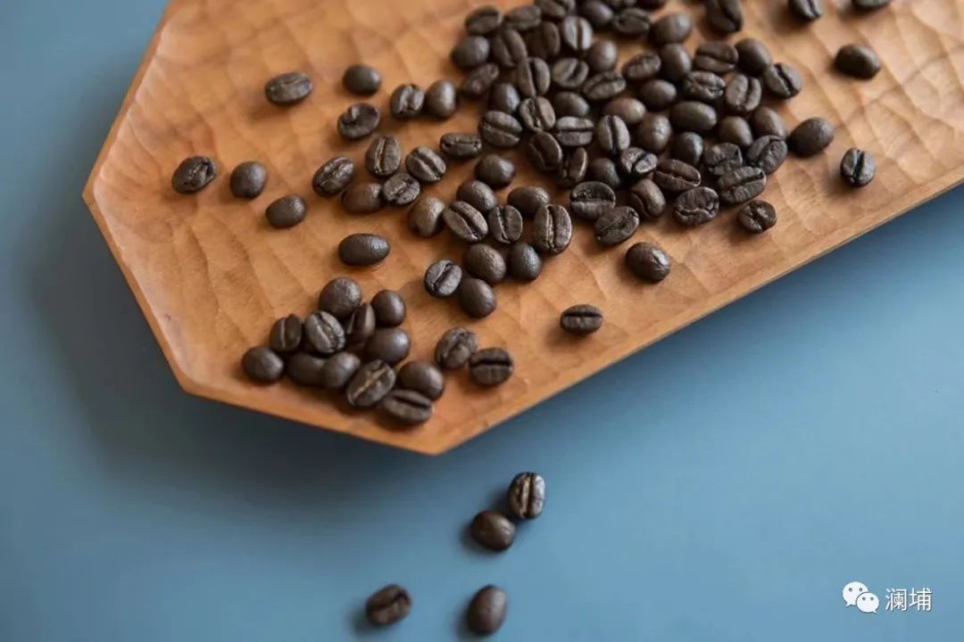 浅说咖啡可可与椰子(上) 浅说咖啡可可与椰子(上)