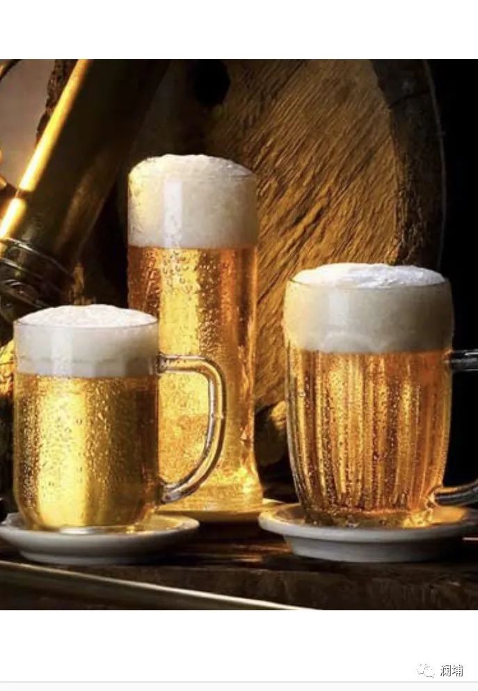 迎新年,启新篇! 迎新年,启新篇!