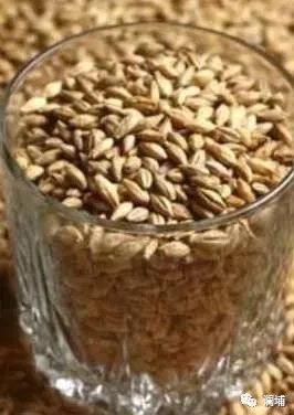 知识|麦芽的溶解状态与粉碎度对生产会有什么样的结果? 知识|麦芽的溶解状态与粉碎度对生产会有什么样的结果?