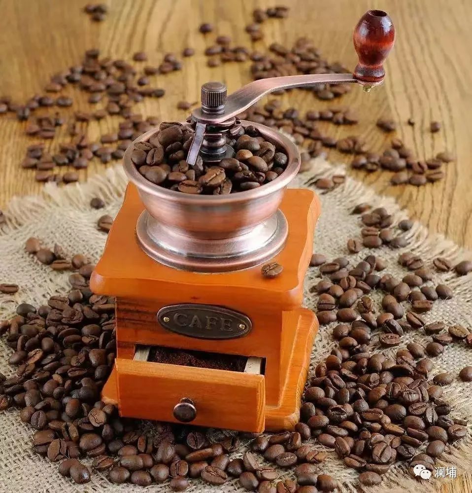 浅说咖啡可可与椰子(上) 浅说咖啡可可与椰子(上)