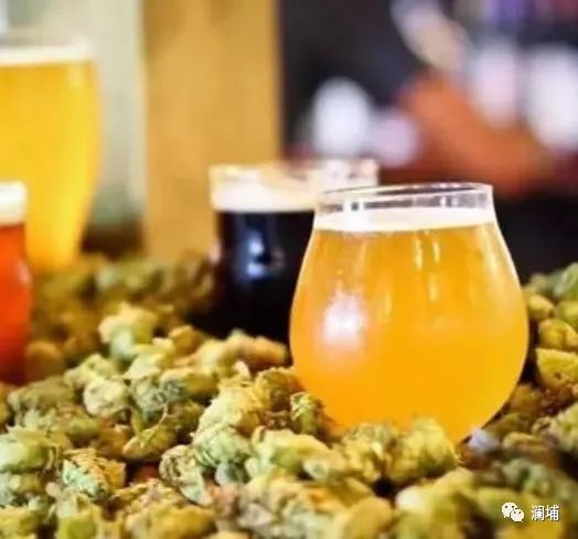 干货|如何控制双乙酰含量 干货|如何控制双乙酰含量