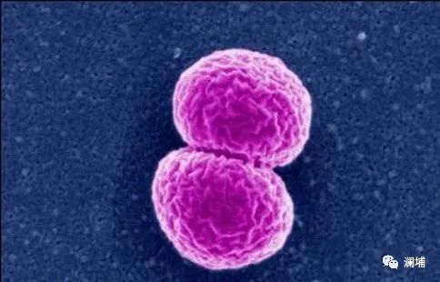 啤酒企业的“眼睛” 啤酒企业的“眼睛”