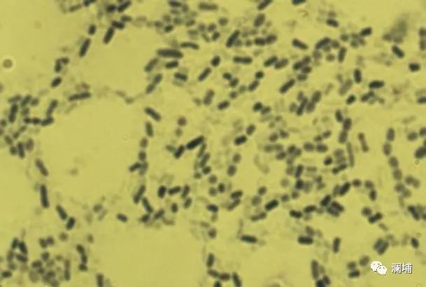 啤酒企业的“眼睛” 啤酒企业的“眼睛”