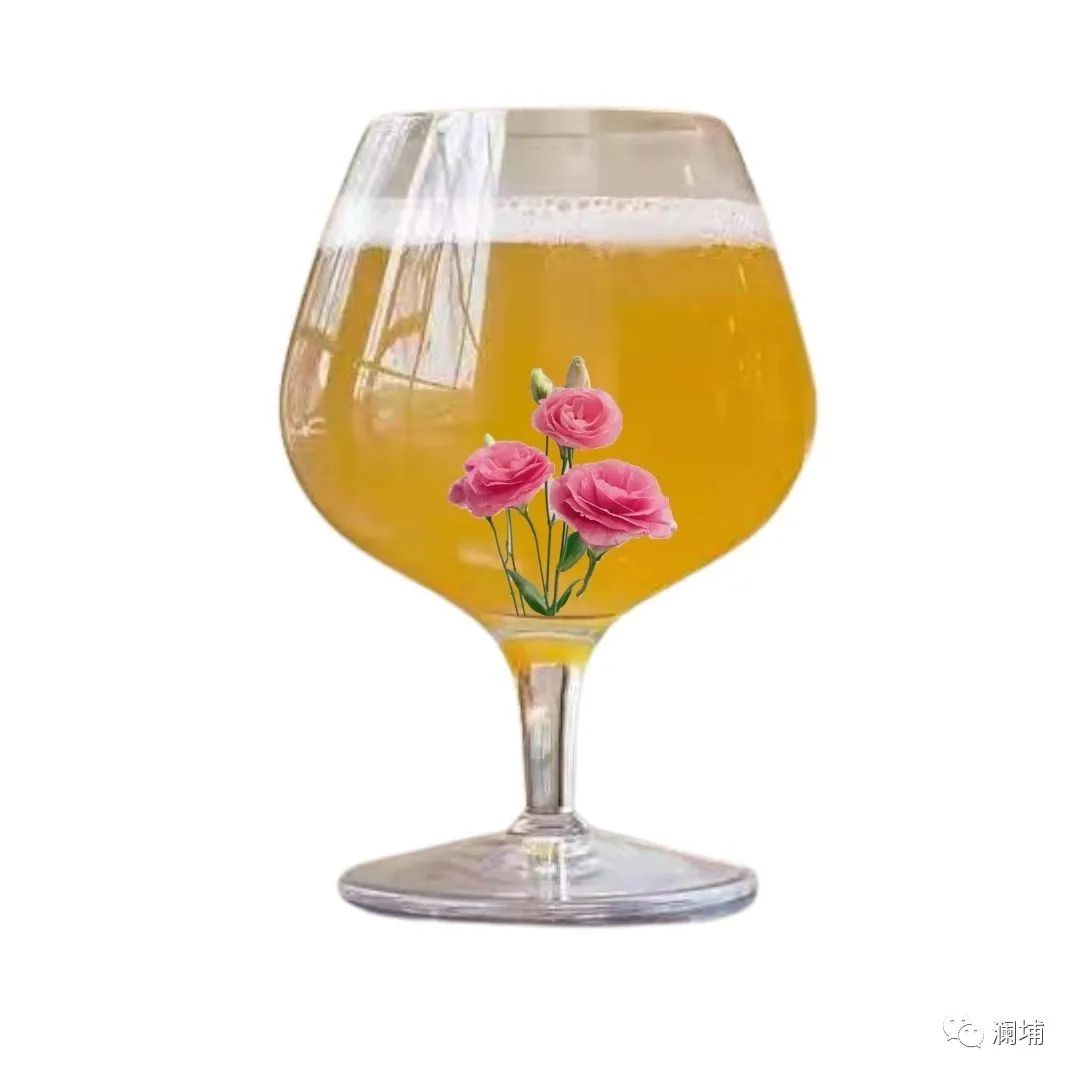 啤酒中“它”的作用,你知多少? 啤酒中“它”的作用,你知多少?