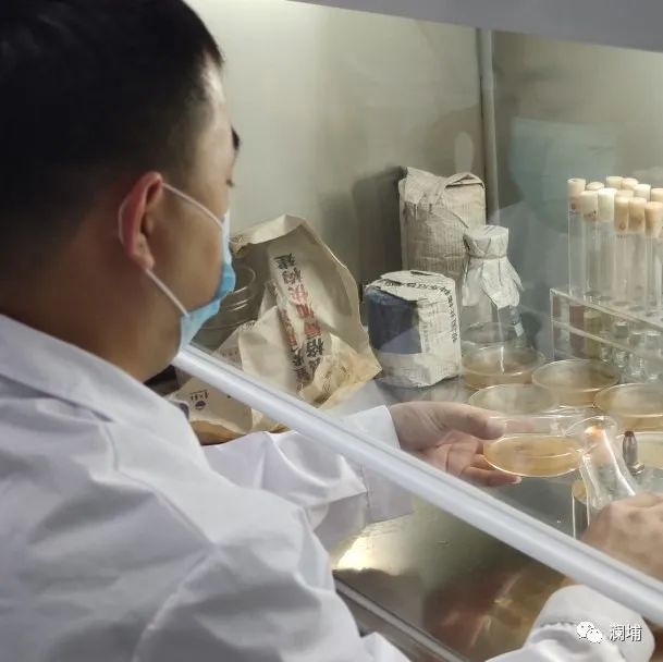 通知|酵母扩培与理化分析专题课开班 通知|酵母扩培与理化分析专题课开班