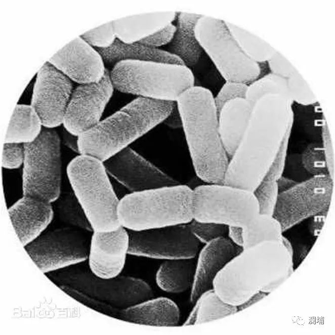 啤酒企业的“眼睛” 啤酒企业的“眼睛”