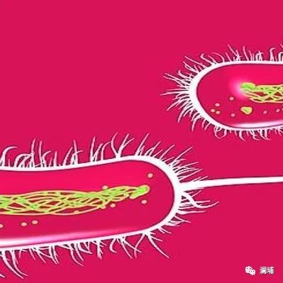 啤酒企业的“眼睛” 啤酒企业的“眼睛”