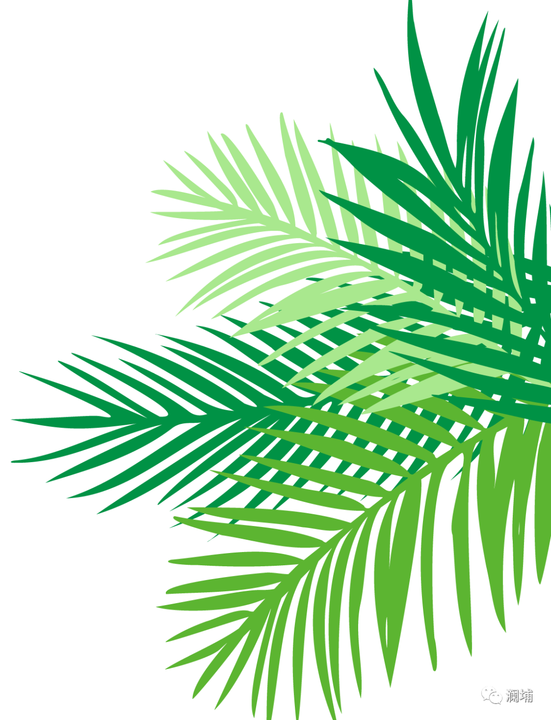 用匠心,造匠才——澜埔学院啤酒酿造师班开课通知 用匠心,造匠才——澜埔学院啤酒酿造师班开课通知