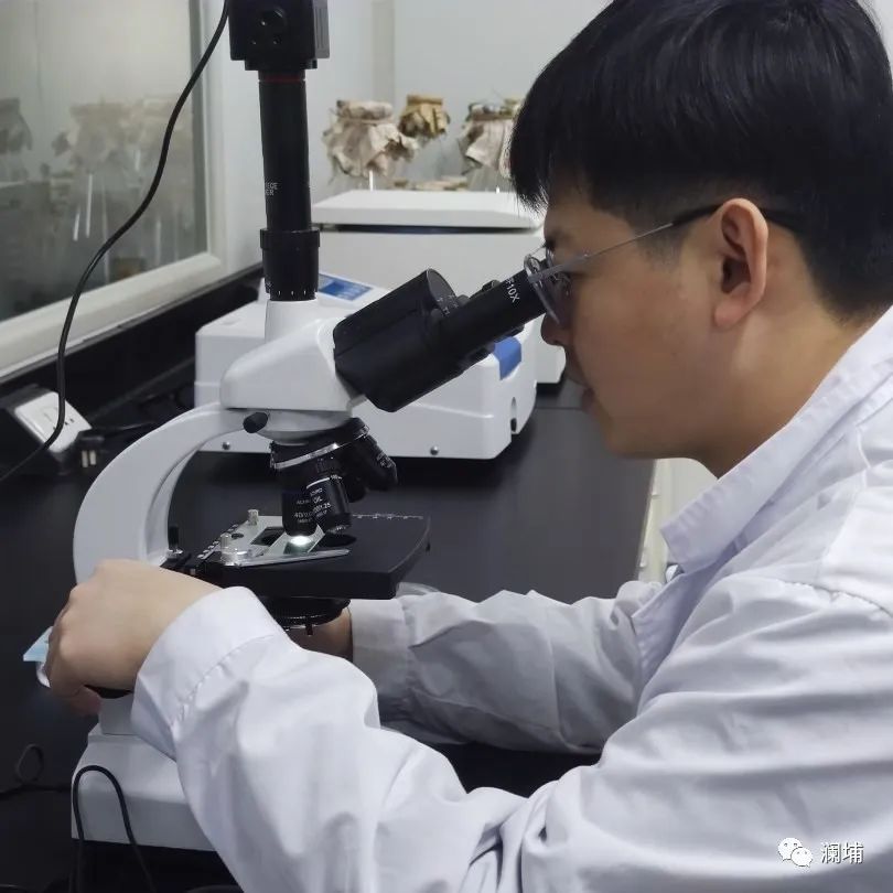 通知|酵母扩培与理化分析专题课开班 通知|酵母扩培与理化分析专题课开班