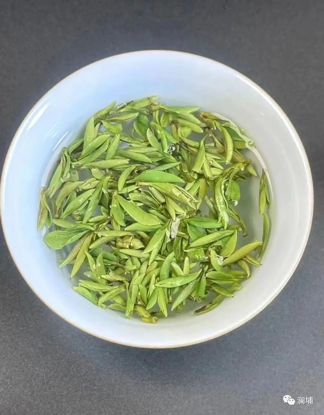 关于酿造茶啤的一点心得 关于酿造茶啤的一点心得