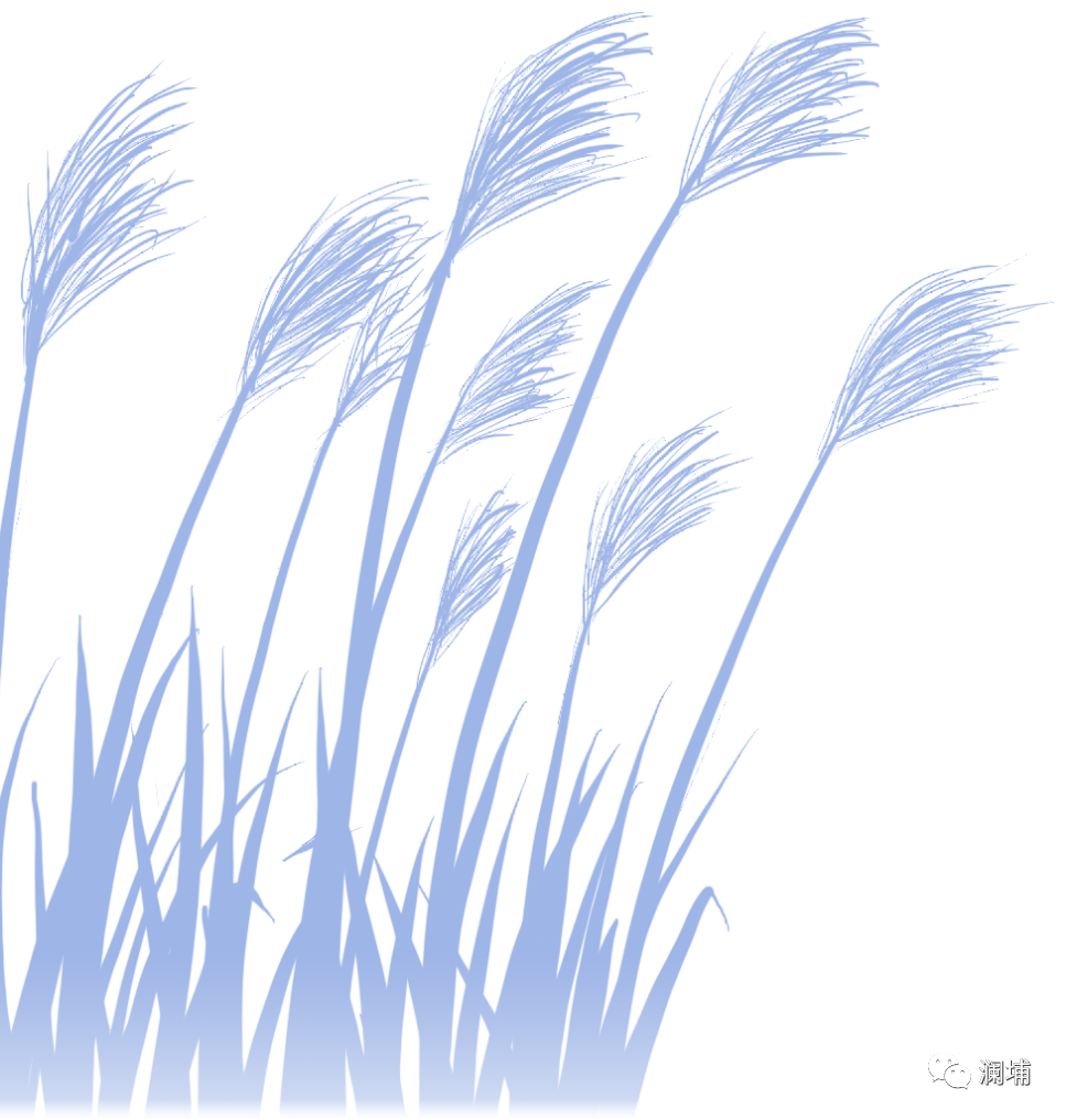 分享|如何选择你想要的酵母 分享|如何选择你想要的酵母