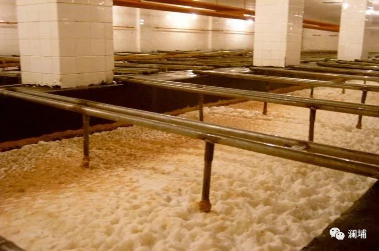 成熟发酵液的异常问题及解决措施 成熟发酵液的异常问题及解决措施