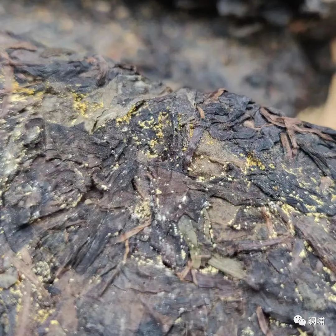 关于酿造茶啤的一点心得 关于酿造茶啤的一点心得