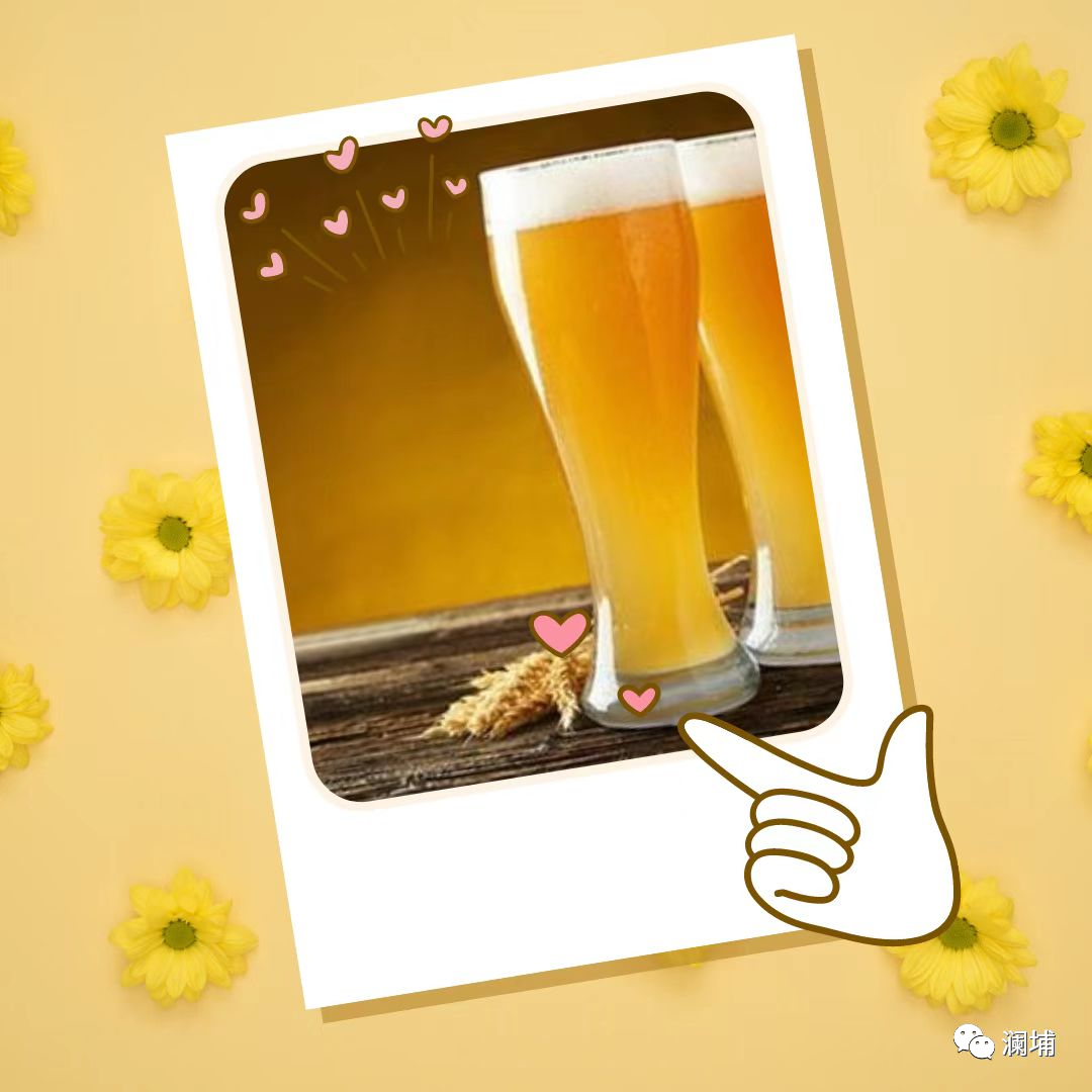 分享|如何选择你想要的酵母 分享|如何选择你想要的酵母