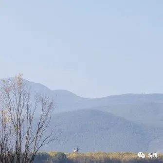 高级班--我们结课啦! 高级班--我们结课啦!