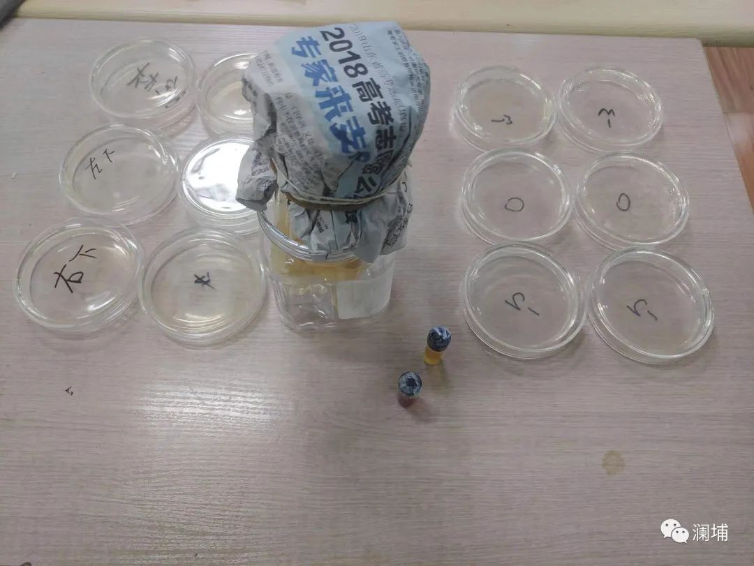 高级班--我们结课啦! 高级班--我们结课啦!