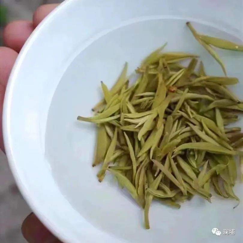 关于酿造茶啤的一点心得 关于酿造茶啤的一点心得