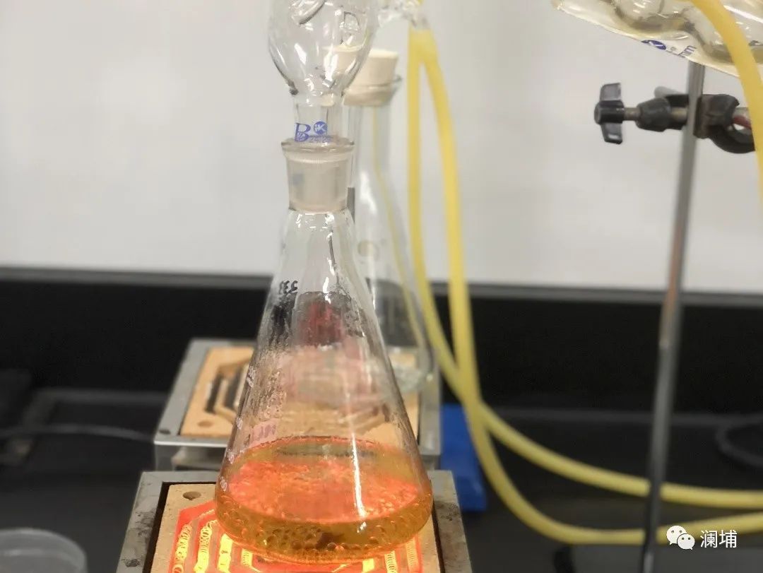 威士忌酿造工艺课通知 威士忌酿造工艺课通知