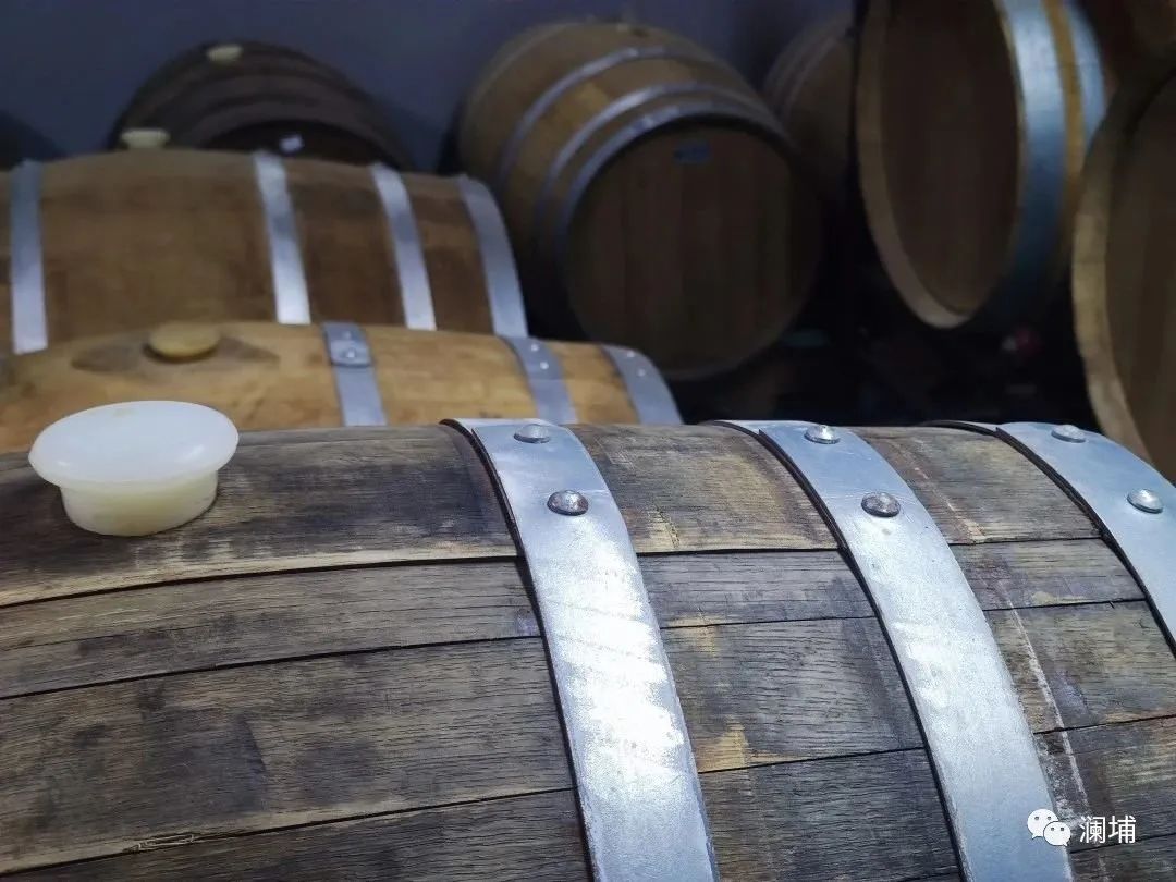 7月啤酒酿造初级课通知 7月啤酒酿造初级课通知