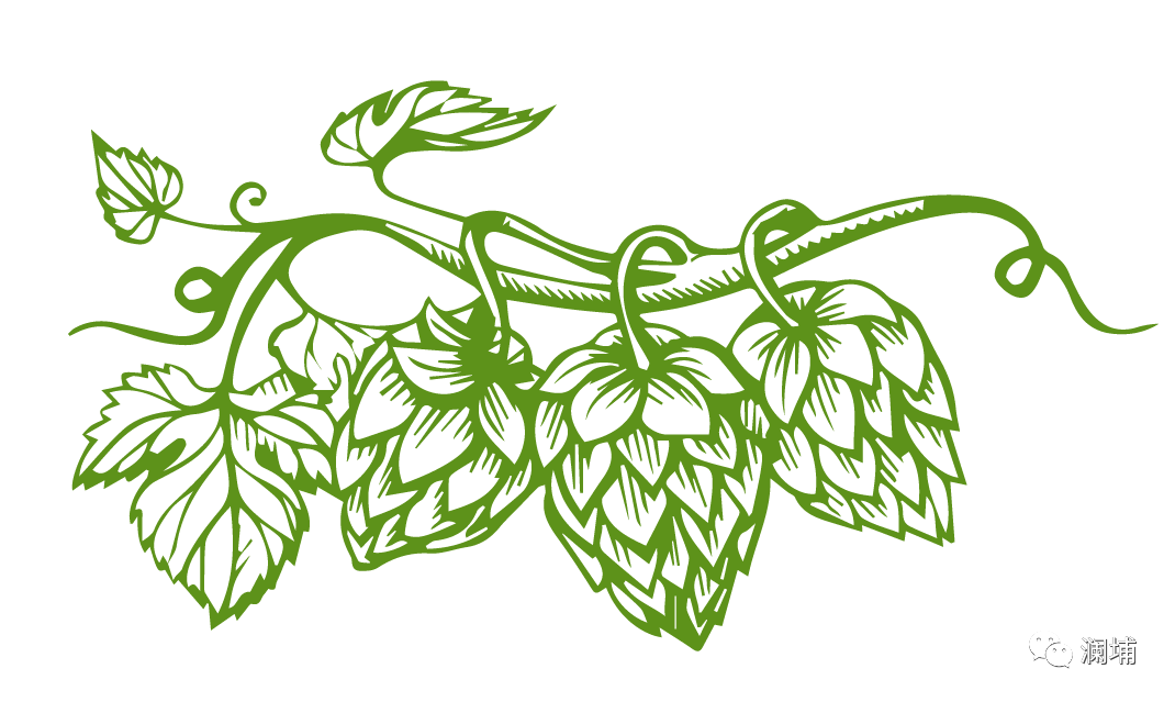 测试|哪款啤酒最适合您的性格? 测试|哪款啤酒最适合您的性格?