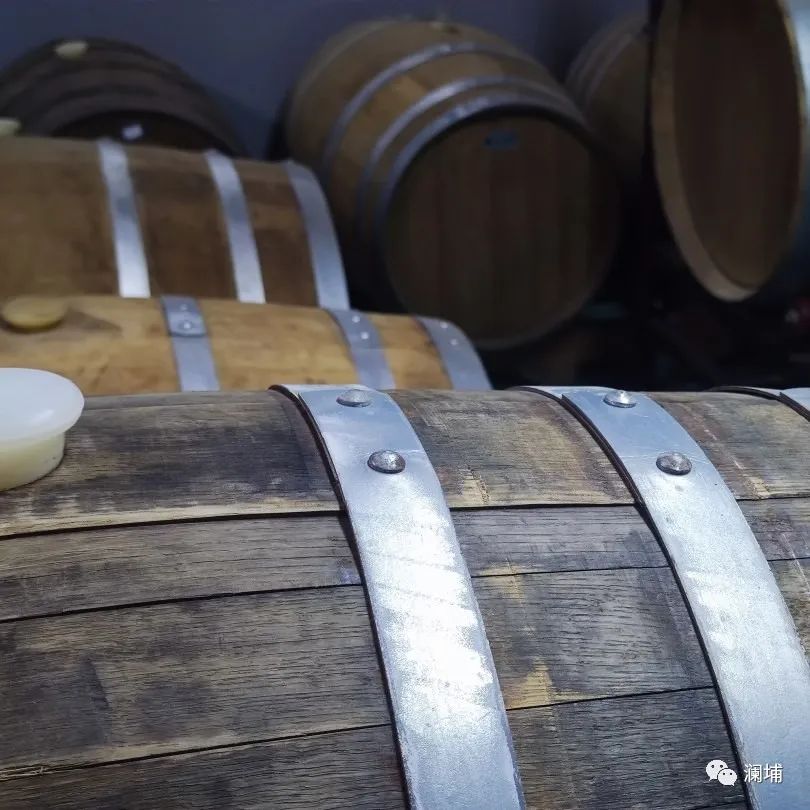 用匠心,造匠才——澜埔学院啤酒造师班 用匠心,造匠才——澜埔学院啤酒造师班