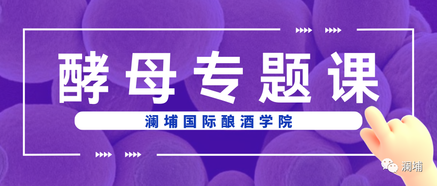 酵母专题课——提升风味,节省成本 酵母专题课——提升风味,节省成本