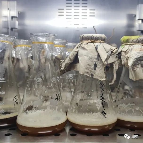 用匠心,造匠才——澜埔学院啤酒造师班 用匠心,造匠才——澜埔学院啤酒造师班