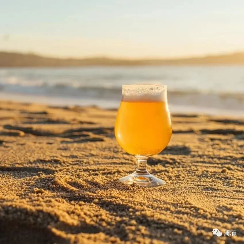 浅谈酿酒的内功与招式 浅谈酿酒的内功与招式