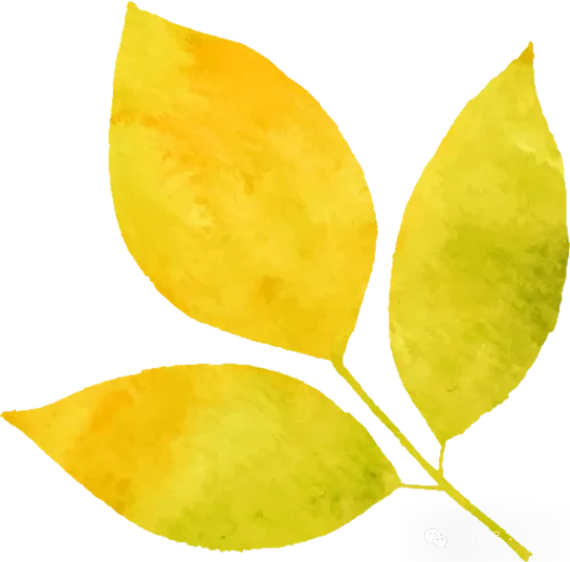 稳模式+优品质,长久发展不是梦! 稳模式+优品质,长久发展不是梦!