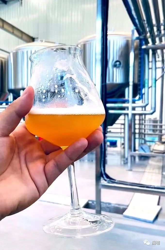 啤酒杀菌过程的几点注意事项 啤酒杀菌过程的几点注意事项