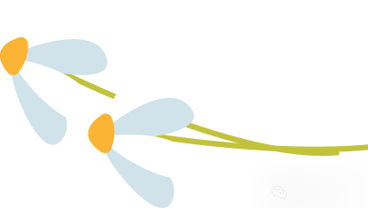 轻松掌握:瓶装啤酒漏气检查小技巧 轻松掌握:瓶装啤酒漏气检查小技巧