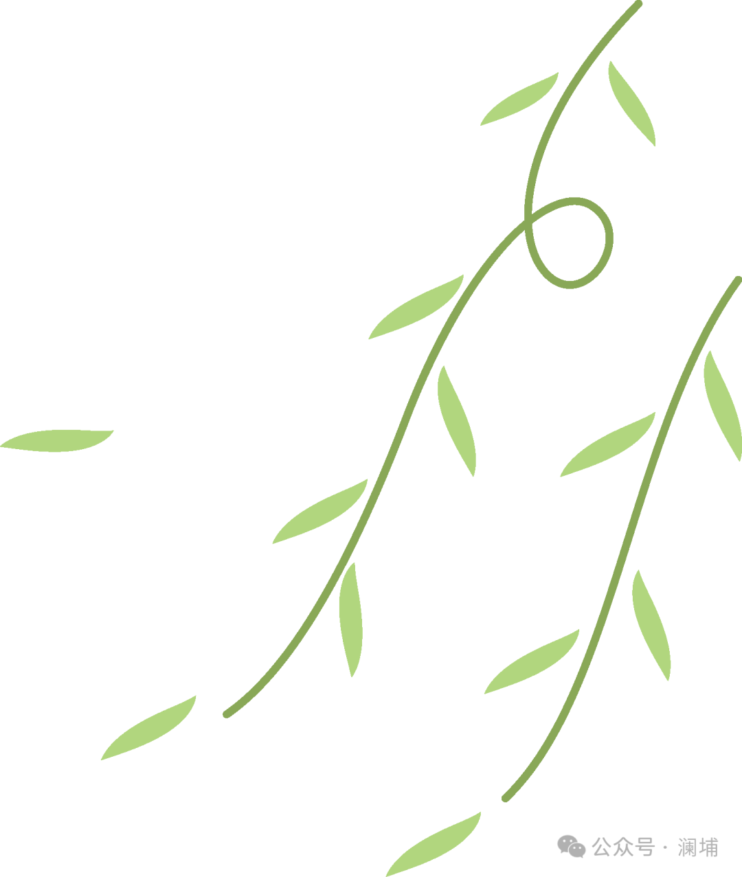 在什么情况下,糖化工艺的制定应倾向于选择低温浸渍 在什么情况下,糖化工艺的制定应倾向于选择低温浸渍