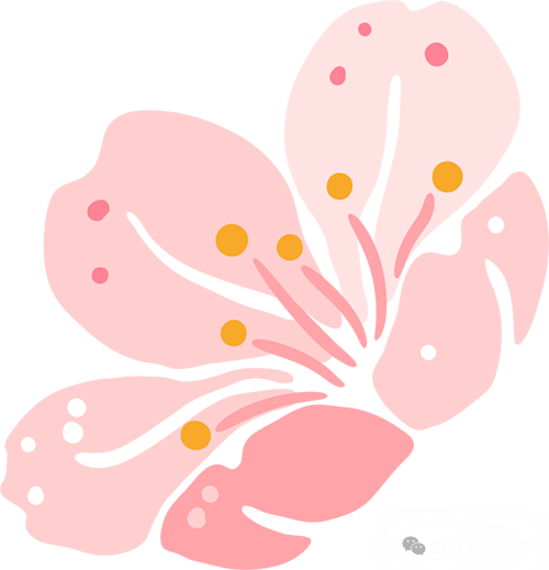 在什么情况下,糖化工艺的制定应倾向于选择低温浸渍 在什么情况下,糖化工艺的制定应倾向于选择低温浸渍