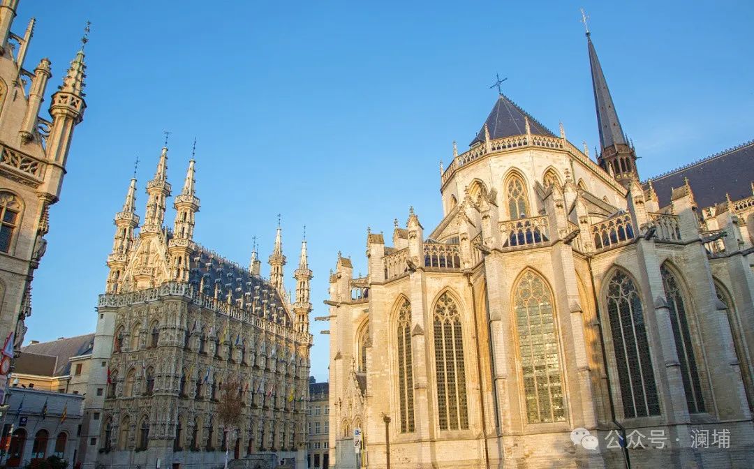 2024比利时啤酒游学招募令