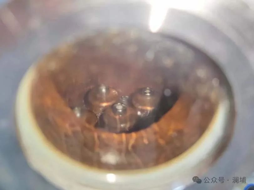 威士忌+金酒工艺课通知 威士忌+金酒工艺课通知